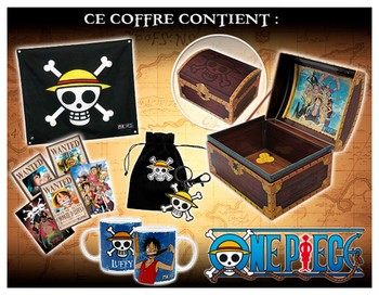 Coffret trésor one piece