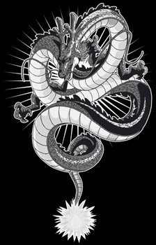 T-shirt DBZ Shenron Noir et Blanc